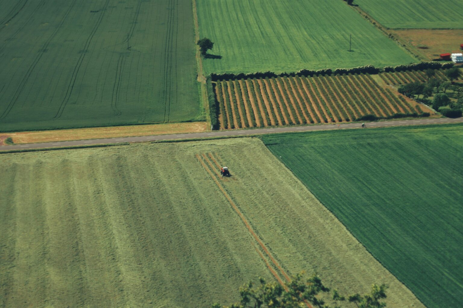 MP 1.376 pode deixar produtores de fora da renegociação: os detalhes que podem barrar o pedido Lavouras e produção rural afetadas por requisitos da MP nº 1.376/2026