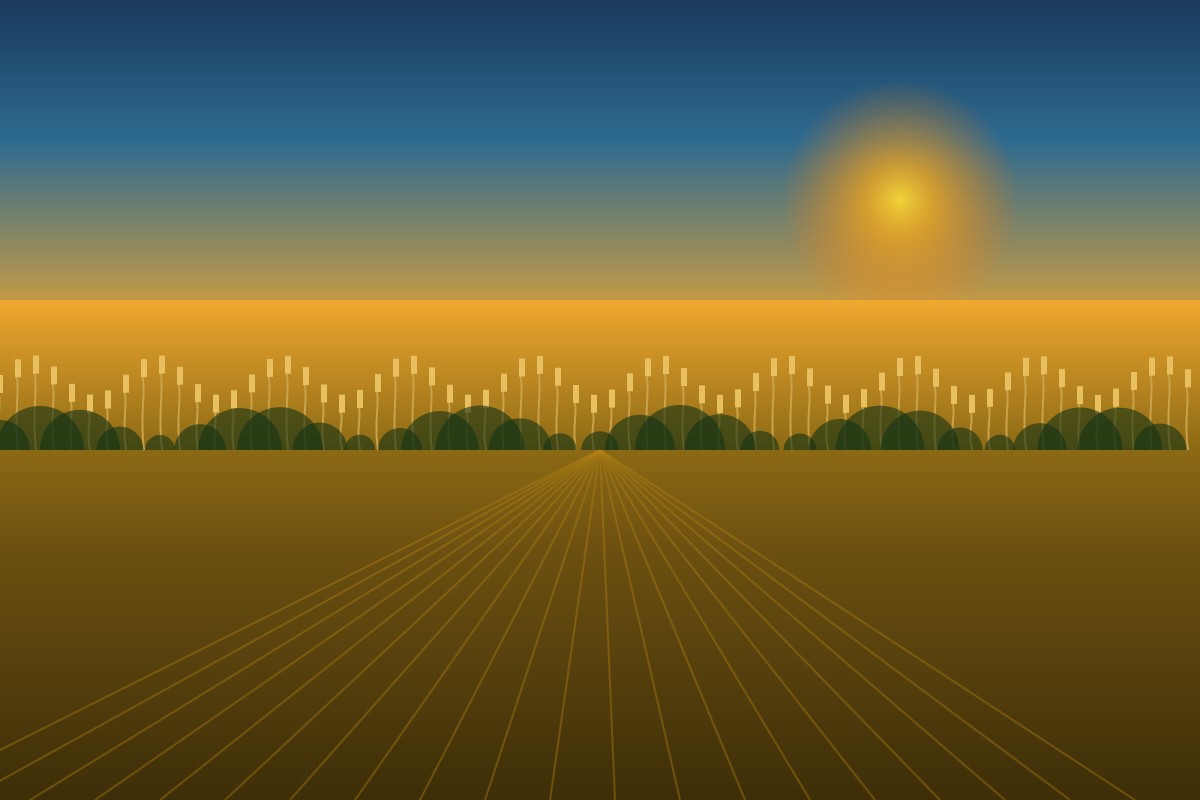 Campo de trigo: prazo para negociar a dívida rural Campo de trigo ao entardecer — prazo para negociar dívida rural