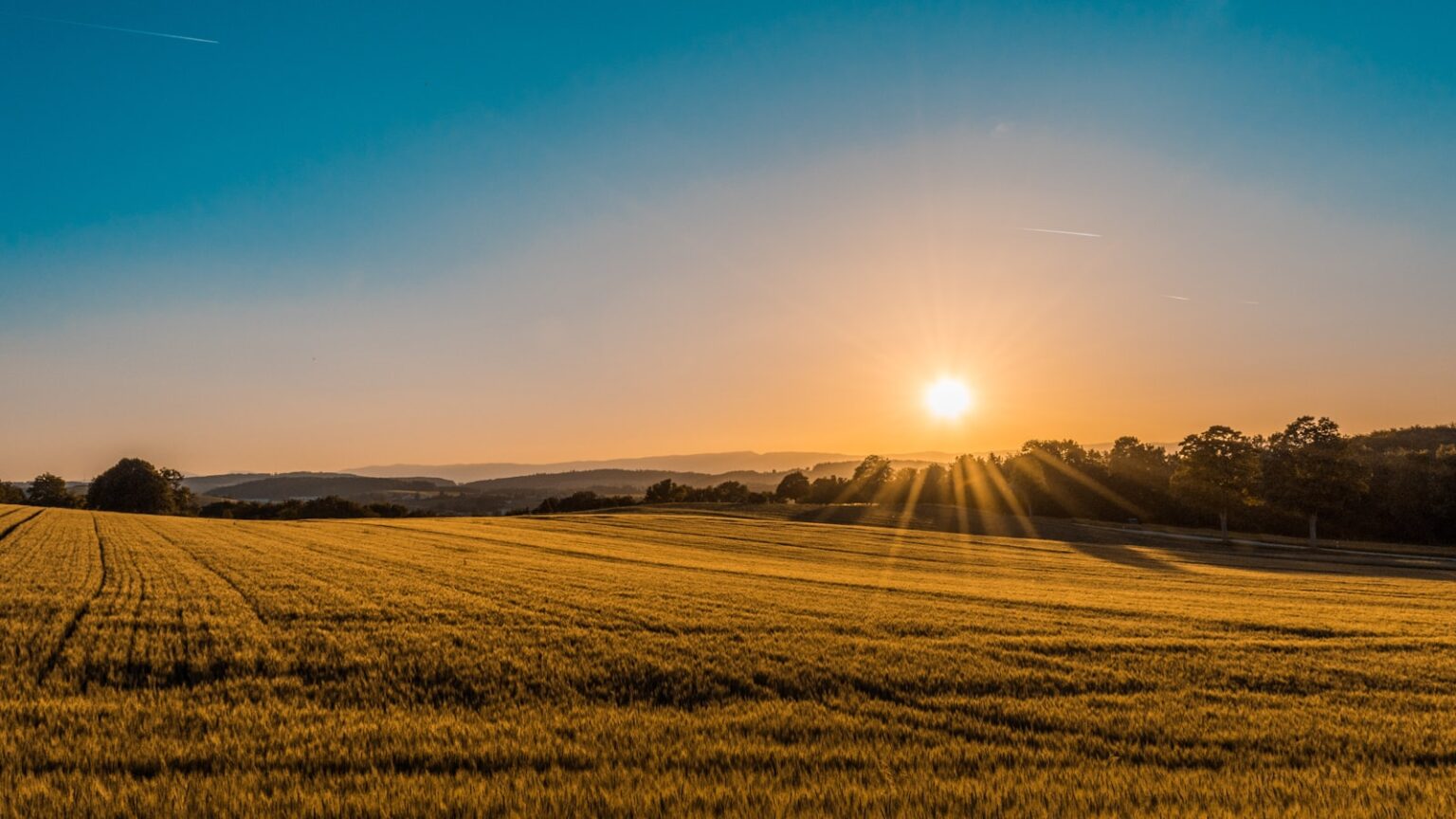 El Niño no Nordeste: seca pode atingir o Matopiba e pressionar ainda mais o produtor rural? Lavoura no Matopiba sob calor e baixa umidade durante o El Niño 2026/2027
