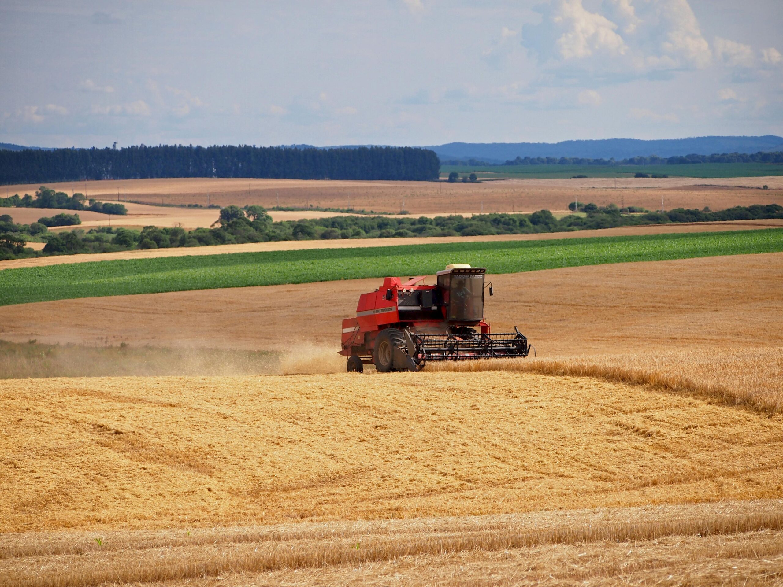 Análise de contrato: verificar se dívida rural se enquadra na securitização Produtor rural analisando contrato de financiamento — dívida e securitização