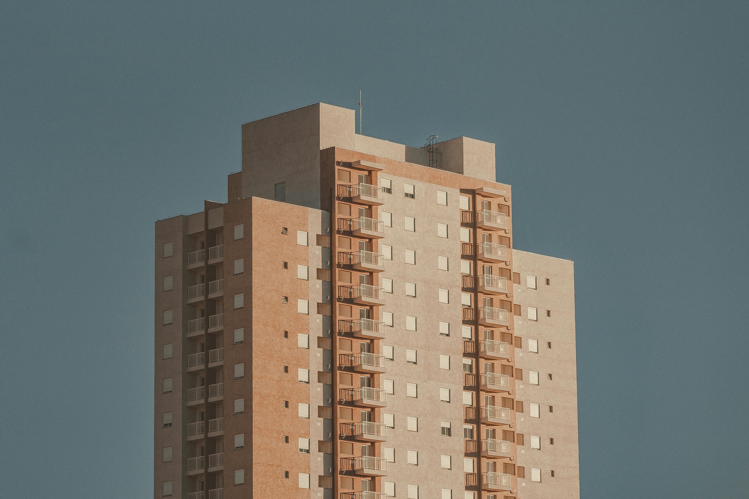 pexels lucaspezeta 1996163