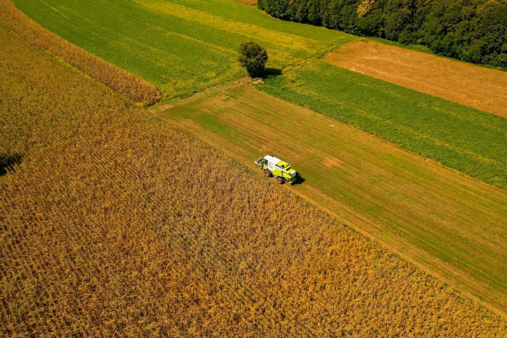 Manual de Crédito Rural: Tudo o que o Produtor Rural Precisa Saber pexels vladimirsrajber 28352648 (1)
