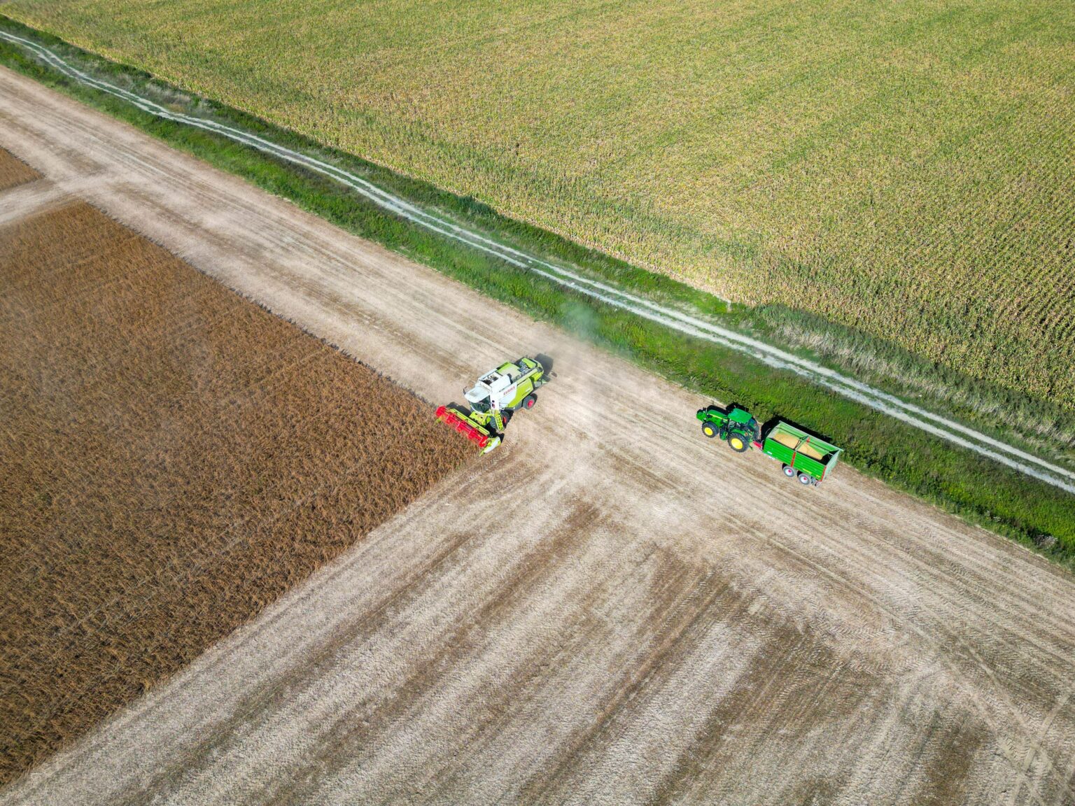 MP 1.376: um laudo fraco pode fazer o produtor perder a chance de renegociar a dívida rural Lavoura rural analisada para comprovação de perdas e elaboração do laudo da MP nº 1.376/2026